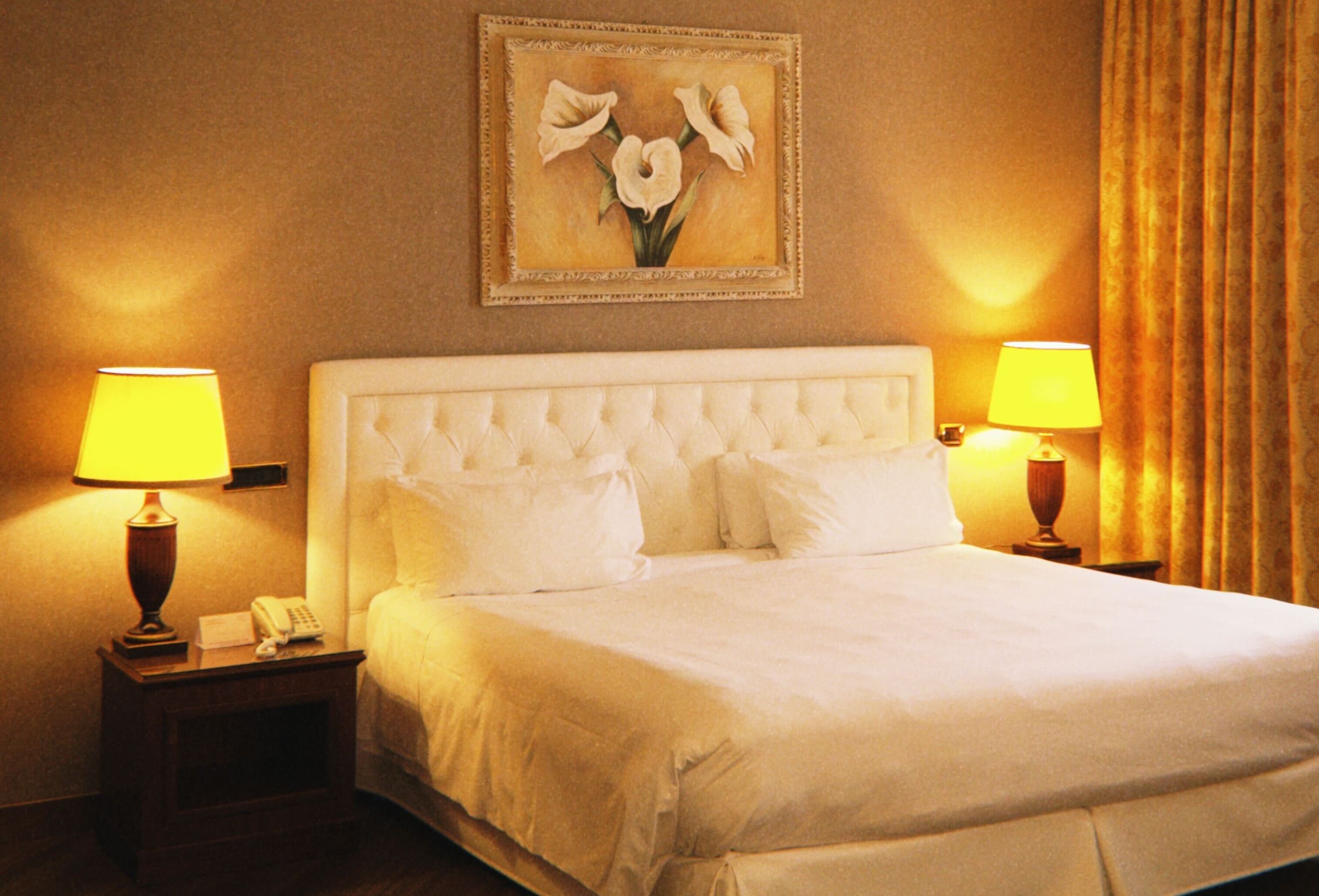 Where to Stay in Bologna… Three Hotels Worth Checking Out